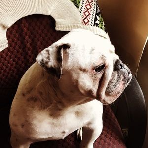 Meet your Posher, Mike